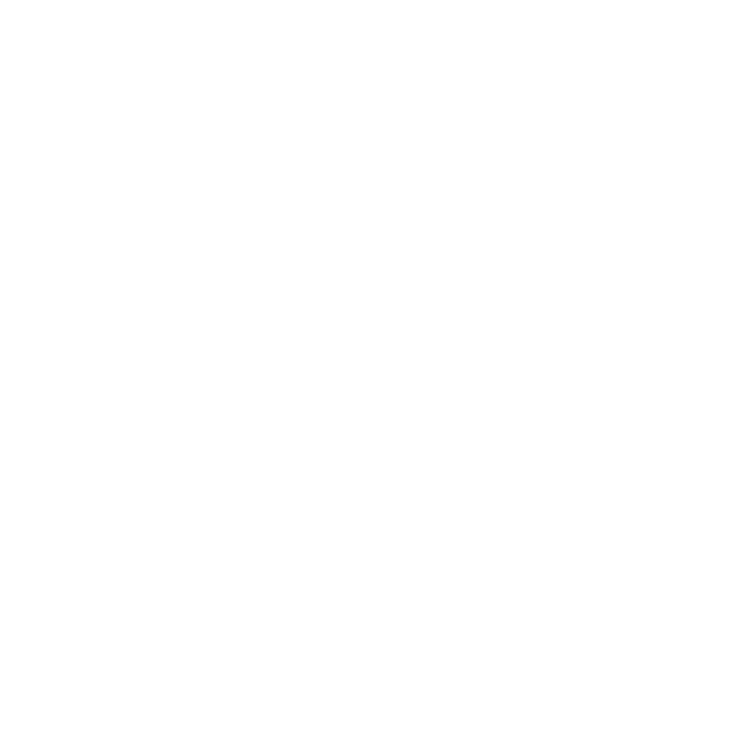 logo light